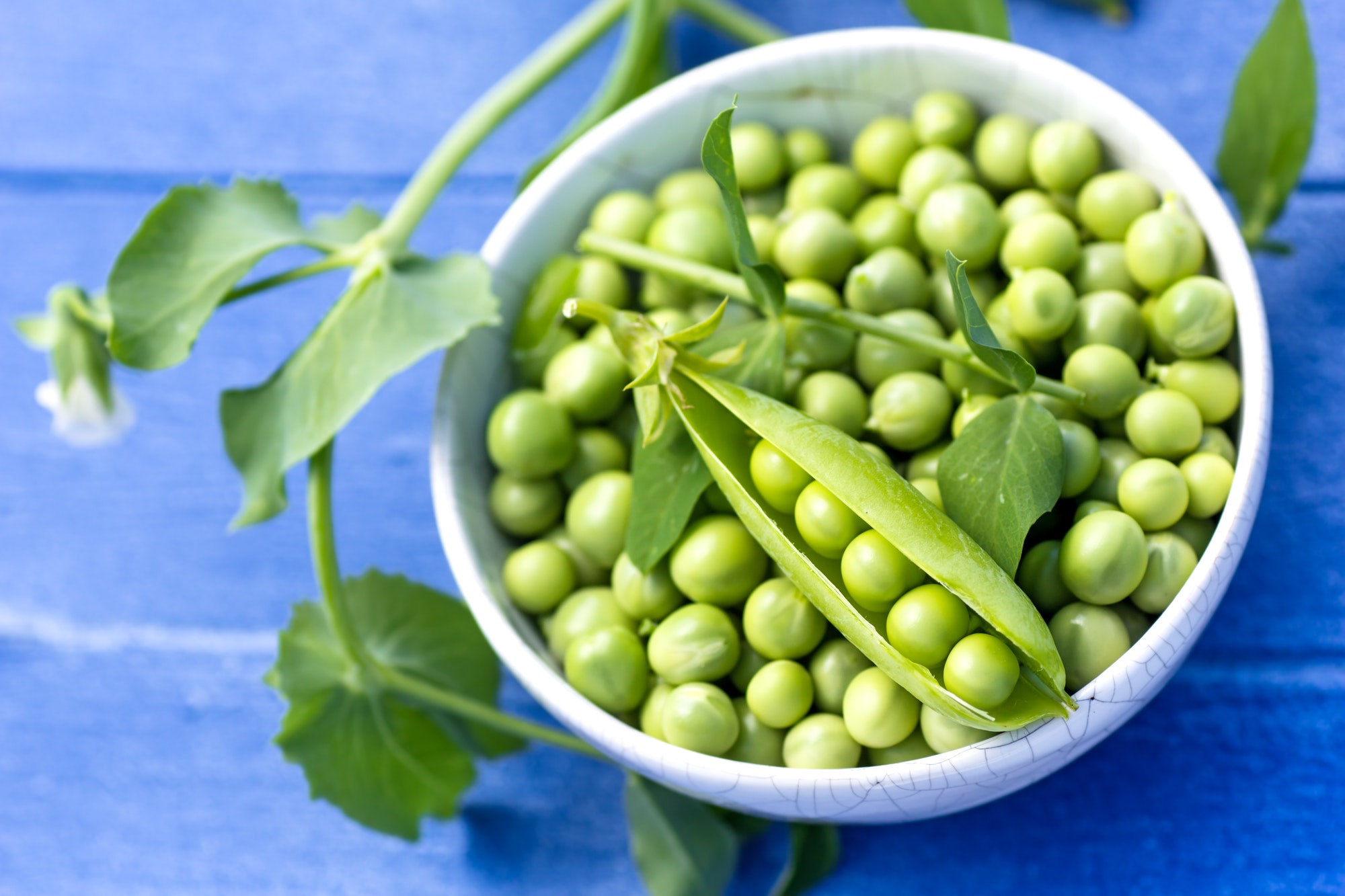 Bowl of green pea